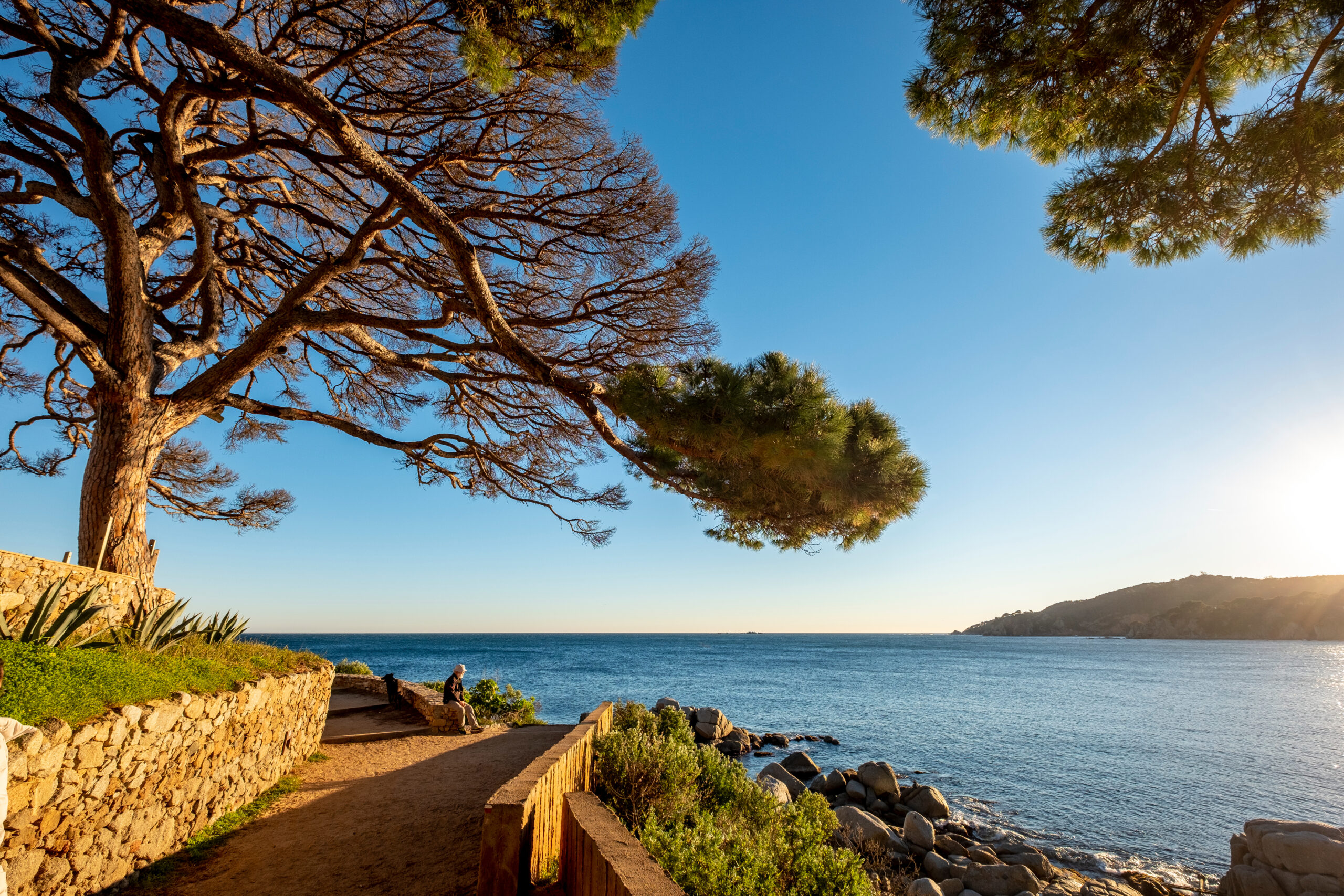 Image de la Costa Brava représentant le "Camí de Ronda", dans l'une des zones où opère Calma Brava Homes, agence immobilière spécialisée dans la vente et la location de biens, avec une expérience locale, notamment à Calella de Palafrugell, stratégie de marché et services professionnels pour les propriétaires.